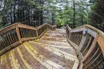 Holzstufen an den Gärten der Hoffnung Atempause Hütte; neue Glasgow, Prinz edward Insel, Kanada — Stockfoto