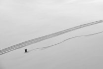 Профессиональный сноубордист на широком открытом снежном склоне, создающий новые трассы; Британская Колумбия, Канада — стоковое фото