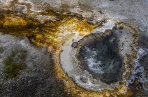 Gros plan sur les caractéristiques thermiques dans le parc national Yellowstone ; Wyoming, États-Unis — Photo de stock