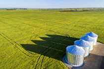 Veduta aerea di grandi bidoni di grano metallico in un campo verde di colza con lunghe ombre drammatiche attraverso il campo e cielo blu, a est di Calgary; Alberta, Canada — Foto stock