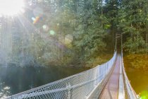 Sunshine illumina la strada lungo un ponte sospeso attraverso la fine del sentiero Buntzen Lake per continuare il percorso nei sentieri forestali vicino a Vancouver; British Columbia, Canada — Foto stock