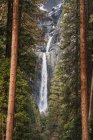 Yosemite Falls e alberi ad alto fusto, Yosemite National Park; California, Stati Uniti d'America — Foto stock