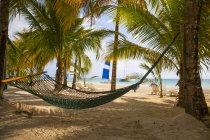 Leere Hängematte an einem tropischen Strand; negril, jamaica — Stockfoto