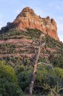 Rugged sandstone rock formation with a leafless tree in the foreground; Sedona, Arizona, United States of America — Stock Photo