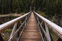Suspension bridge over Miles Canyon; Whitehorse, Yukon, Canada — Stock Photo