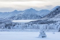 Единственная ель, покрытая свежим снегом, стоит перед склоном горы, покрытым белым снегом и низкими облаками, перевал Тёрнай, полуостров Кенай, Юго-Центральная Аляска; Аляска, Соединенные Штаты Америки — стоковое фото