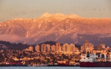 The North Vancouver skyline and Coast Mountains glowing at dusk and ships in the harbour; Vancouver, British Columbia, Canada — Stock Photo