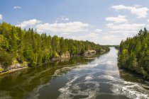 Un fiume tranquillo serpeggia attraverso la pineta in una bella giornata estiva; Campbellford, Ontario, Canada — Foto stock