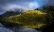 Landscape of the forested coastline and tranquil ocean reflecting the trees and clouds; Hartley Bay, British Columbia, Canada — Stock Photo