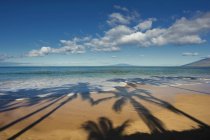 Ombre di palme su una spiaggia in una giornata di sole; Maui, Hawaii, Stati Uniti d'America — Foto stock