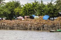 Boot beladen mit Kokosnüssen im Mekong; ben tre, Vietnam — Stockfoto