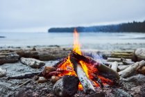 Un feu sur la plage avec l'océan et le littoral en arrière-plan, parc provincial Cape Scott ; Colombie-Britannique, Canada — Photo de stock