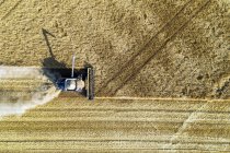 View from directly above of a combine cutting a barley field; Blackie, Alberta, Canada — Stock Photo
