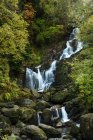 Шийна Гривня водоспад в Кілларні національного парку; Кілларні, Англією, Ірландії — стокове фото