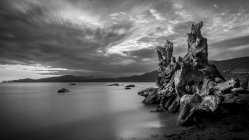 Long exposure of driftwood at the water 's edge and a view of the Vancouver coastline at Stanley Park; Vancouver, British Columbia, Canada — стоковое фото