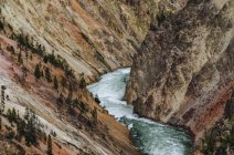 Yellowstone River fluindo através do cânion, Parque Nacional de Yellowstone; Wyoming, Estados Unidos da América — Fotografia de Stock