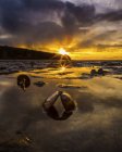 A luz solar dourada ilumina o céu ao pôr do sol e reflete nas águas rasas ao longo da costa com uma concha de amêijoa aberta em primeiro plano; Vancouver, British Columbia, Canadá — Fotografia de Stock