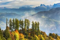 Árvores coloridas no outono em um cume com vista para as encostas alpinas do vale rolante e montanhas no fundo com névoa saindo do vale; Caldaro, Bolzano, Itália — Fotografia de Stock