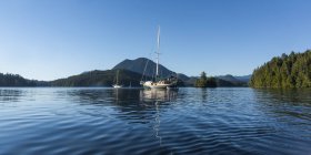 Ein Segel- und Schlauchboot, das in den ruhigen Gewässern von Tonquot Sound, Vancouver Island, Tofino, British Columbia, Kanada festgemacht hat — Stockfoto