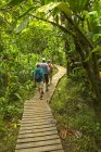 Tourists on boardwalk to Waimoku Falls, Kipahulu, Maui, Hawaii, USA — Stock Photo