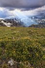 Vista da Beartooth Highway of the Beartooth Mountains e os raios de sol que atravessam as nuvens; Cody, Wyoming, Estados Unidos da América — Fotografia de Stock