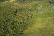Ruisseau sinueux serpentant dans la nature sauvage du Yukon ; Territoire du Yukon, Canada — Photo de stock
