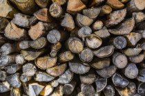 Ends of cut wood in a pile; Potton, Quebec, Canada — Stock Photo