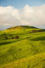Üppige, grüne Weiden und Schlackenzapfen, nördlich Kohala-Berg, Insel Hawaii, Hawaii, USA — Stockfoto