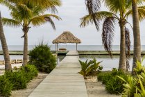 Boardwalk leading to dock lined with palm trees and a view out to the ocean, Belize — Stock Photo
