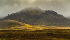 Herbstfarben auf der Tundra-Vegetation der isländischen Schlangenhalbinsel; Island — Stockfoto