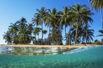 Geteilte Ansicht mit Strand und Palmen, Lanai, Hawaii, Vereinigte Staaten von Amerika — Stockfoto