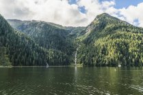 Üppiger Regenwald entlang der Küste des großen Bärenregenwaldes, hartley bay, britisch columbia, kanada — Stockfoto