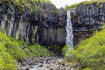 Svartifoss cascada y columnas de basalto es un hermoso mirador y un popular destino turístico de senderismo en el sur de Islandia, Islandia - foto de stock