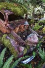 Image arty d'une voiture abandonnée dans un fossé recouvert de mousse et de fougères, île de Vancouver, Colombie-Britannique, Canada — Photo de stock