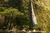 Punlulu Waterfall, Lapahoehoe Nui Valley, Hamakua Coast, Island of Hawaii, Hawaï, États-Unis d'Amérique — Photo de stock