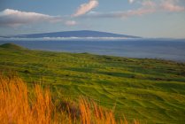 Kohala Mountain pastures, Old Hawaiian terraces, Mauna Loa in the distance, Island Of Hawaii, Hawaii, Estados Unidos de América - foto de stock