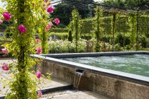Розы на беседке возле источника бассейн в саду Альнвика, Нортумберленд, Англия — стоковое фото