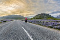 Viajera mujer caminando sola en camino vacío en Islandia - foto de stock