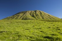 Vista panoramica del cono di cenere verde in un pascolo di bestiame, Kahua Ranch, Nord Kohala Mountains, Isola delle Hawaii, Hawaii, Stati Uniti d'America — Foto stock