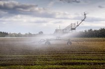 Vista panorámica de la pulverización de un producto químico en los cultivos en la granja, Berkshire, Inglaterra - foto de stock
