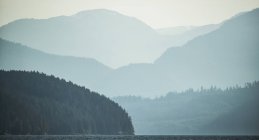 Paisagem temperamental de névoa sobre a Grande Floresta Ursa; Hartley Bay, British Columbia, Canadá — Fotografia de Stock
