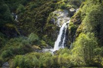 Wasserfall im großen Bärenregenwald; hartley bay, britisch columbia, canada — Stockfoto