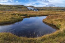Cascata di Husarfoss in un paesaggio remoto; Djupavik, fiordi occidentali, Islanda — Foto stock