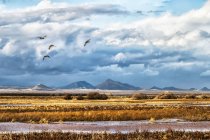 Malerische Aussicht auf Maultierberge, obere Antilopenschlucht, zusammengenähtes Panorama, Seite, arizona, Vereinigte Staaten von Amerika — Stockfoto