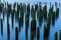Pilastri nel fiume segnano la posizione dell'industria passata; Astoria, Oregon, Stati Uniti — Foto stock