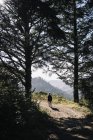 Una mujer caminando cuesta arriba en un sendero en las montañas a la luz del sol en la cima de la montaña, Purisima Creek Redwoods, California, Estados Unidos de América - foto de stock