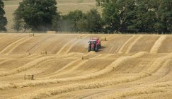 Фермер на красном тракторе делает тюки сена в поле — стоковое фото