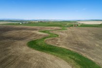 Aerial view of a green ditch patch in the middle of a seeded field with mountains and blue sky, West of High River, Alberta, Canada — Stock Photo
