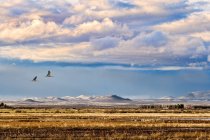 Vista panorâmica de Mule Mountains, Upper Antelope Canyon, stitched panorama composite, Page, Arizona, Estados Unidos da América — Fotografia de Stock