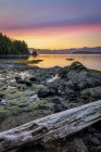 Crepúsculo sobre a Ilha Dodd nas Ilhas Broken Group, Pacific Rim National Park Reserve, British Columbia, Canadá — Fotografia de Stock